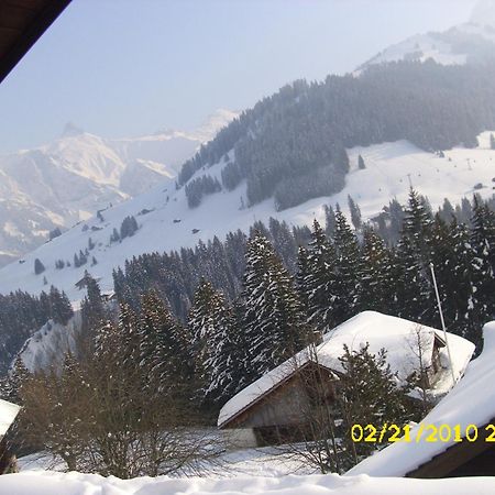 Apartment Nadeschda Adelboden Exteriér fotografie