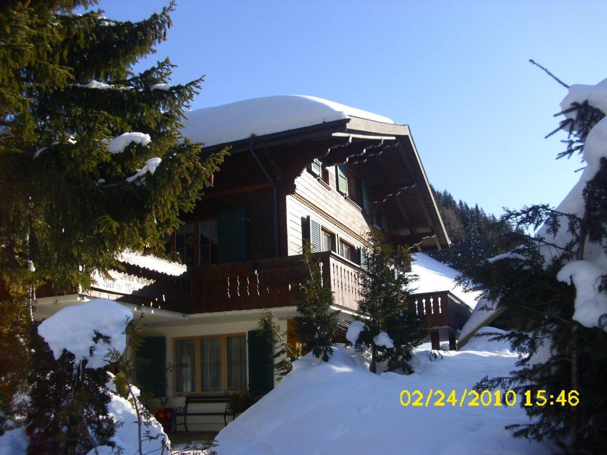 Apartment Nadeschda Adelboden Exteriér fotografie